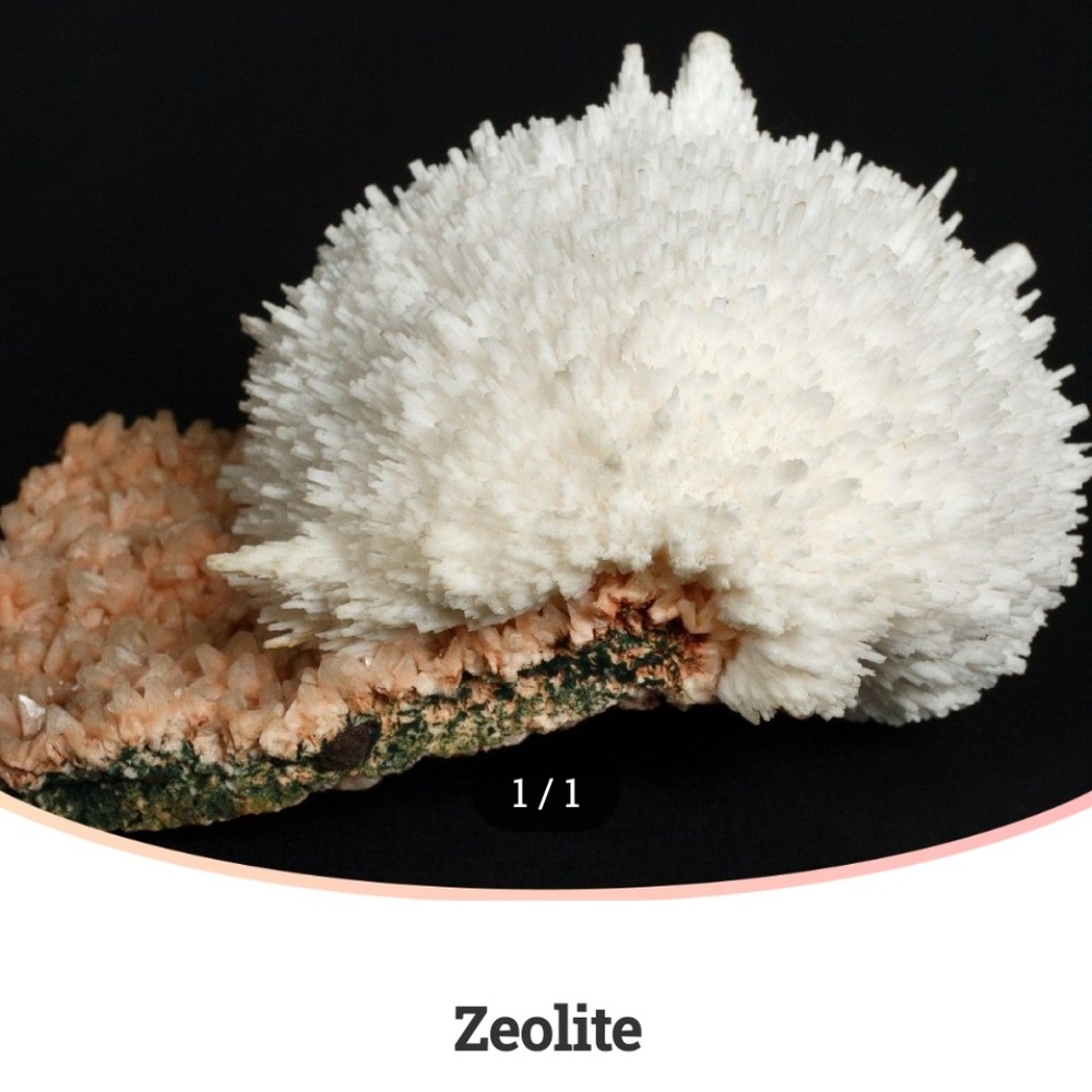 Meet your Posher, Jesse